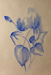 Blume Aquarell (Aquarell auf Packpapier ca. 71x47 cm)
